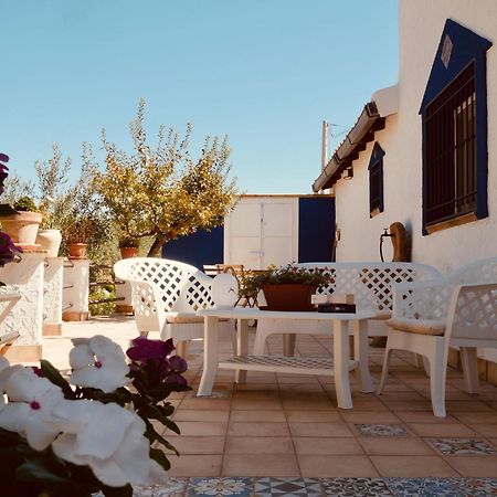 Villa Immersa In Oliveto Vista Mare Sciacca Eksteriør billede