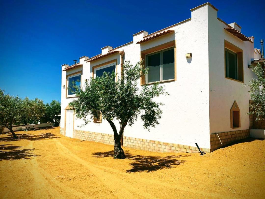 Villa Immersa In Oliveto Vista Mare Sciacca Eksteriør billede