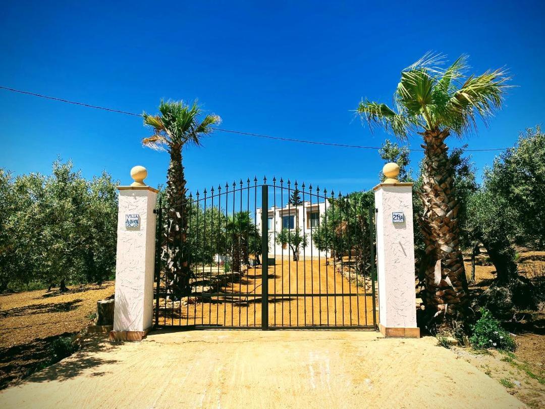 Villa Immersa In Oliveto Vista Mare Sciacca Eksteriør billede