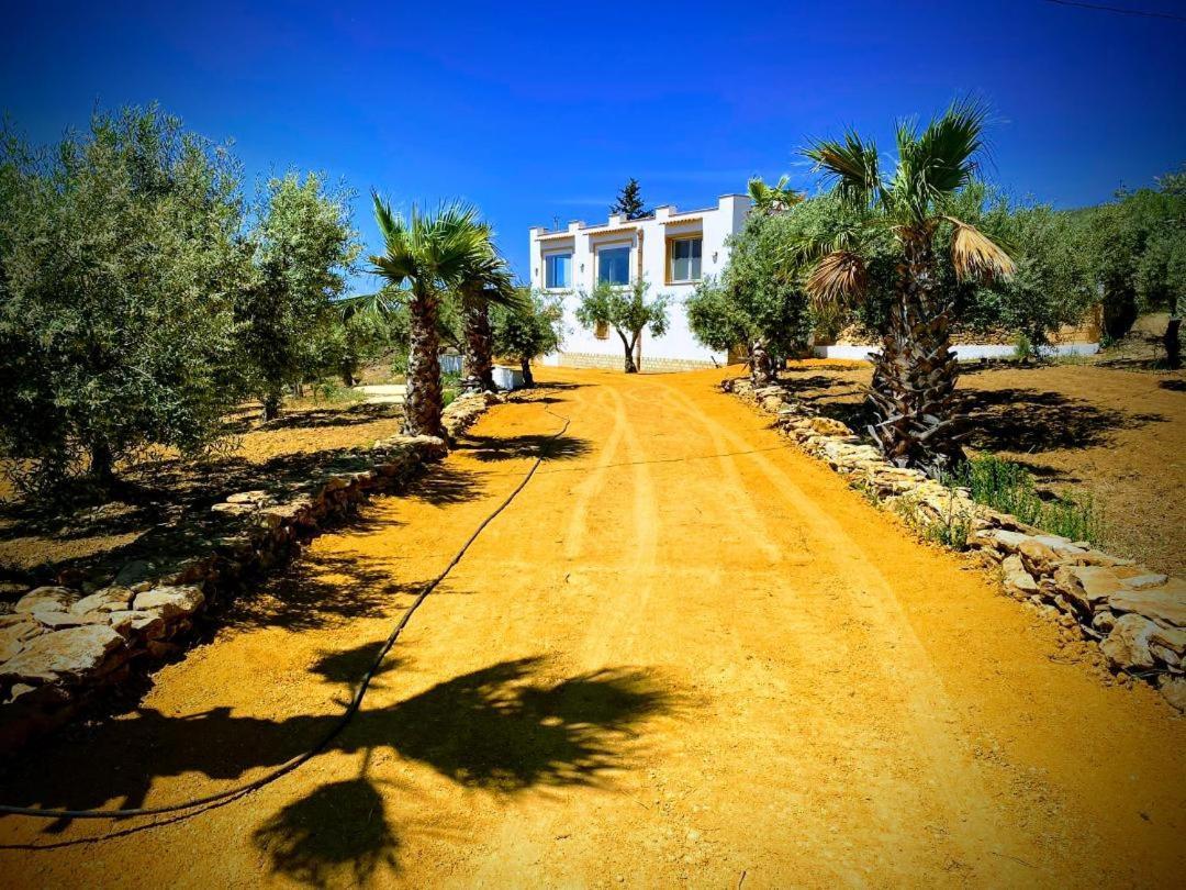 Villa Immersa In Oliveto Vista Mare Sciacca Eksteriør billede