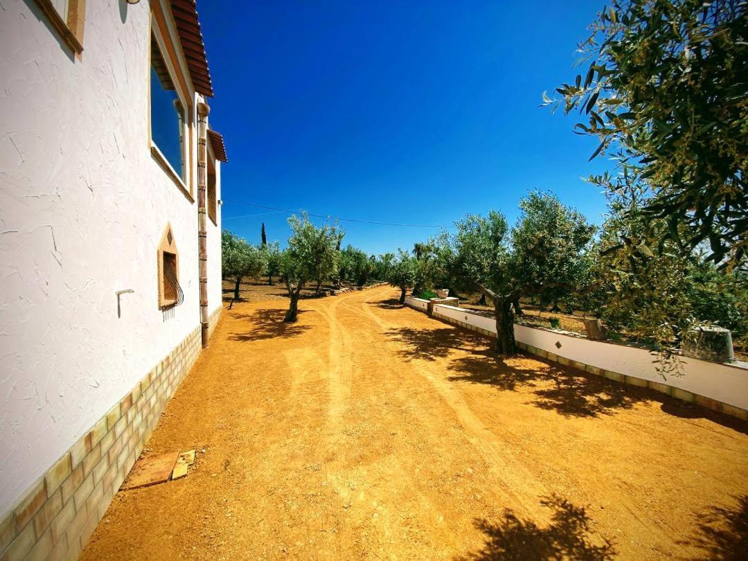 Villa Immersa In Oliveto Vista Mare Sciacca Eksteriør billede