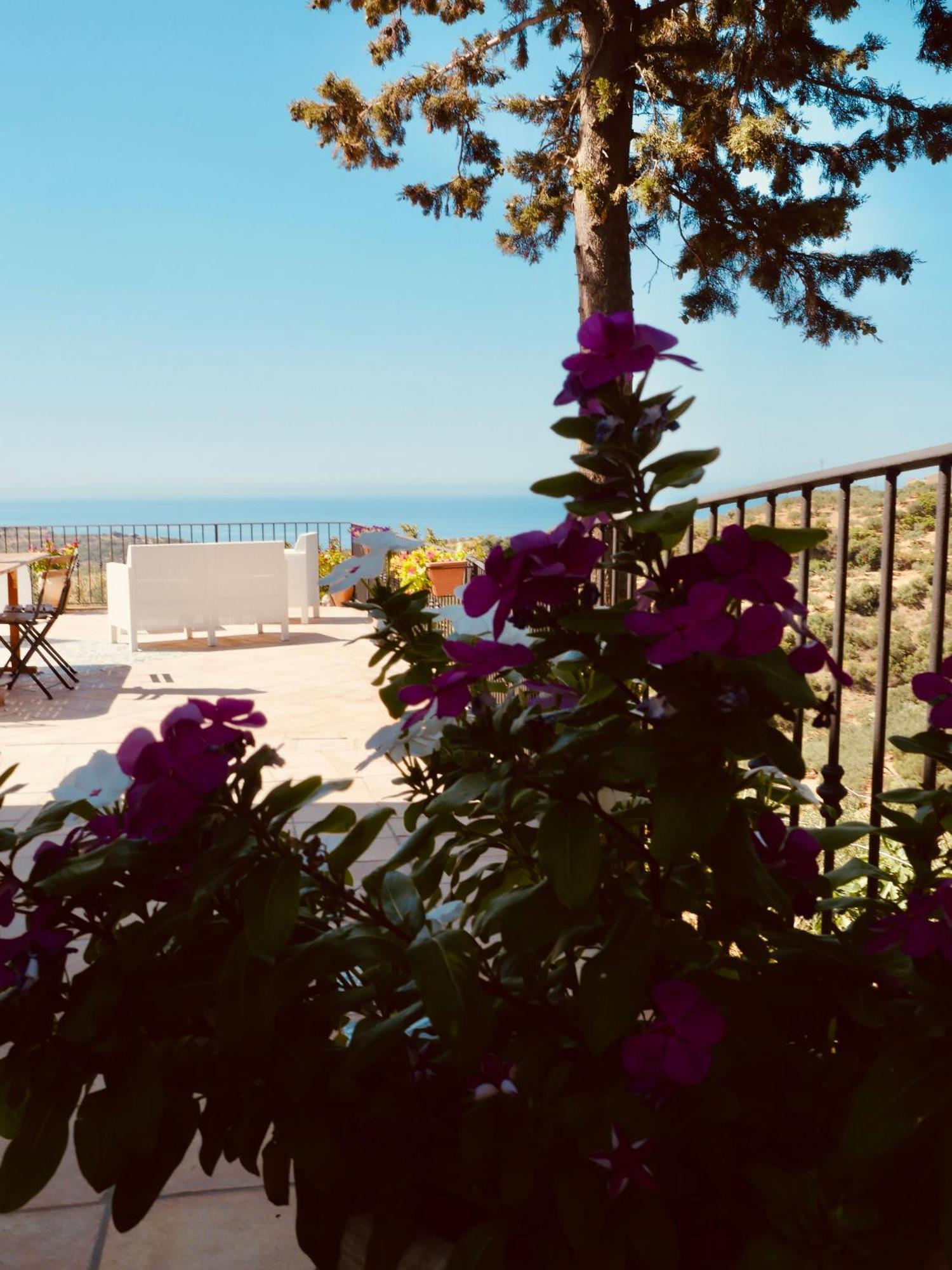 Villa Immersa In Oliveto Vista Mare Sciacca Eksteriør billede
