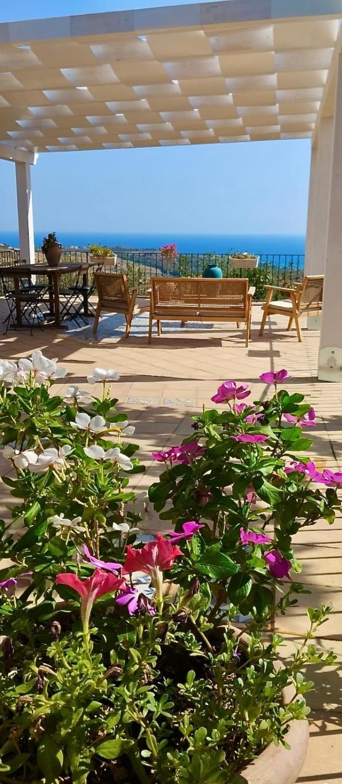 Villa Immersa In Oliveto Vista Mare Sciacca Eksteriør billede