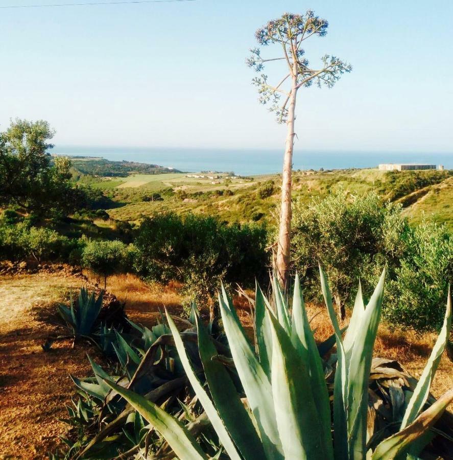 Villa Immersa In Oliveto Vista Mare Sciacca Eksteriør billede
