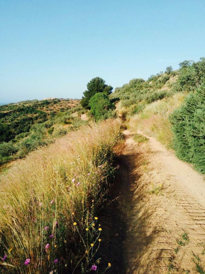 Villa Immersa In Oliveto Vista Mare Sciacca Eksteriør billede