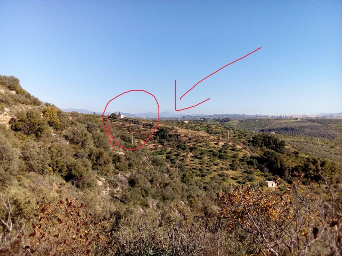 Villa Immersa In Oliveto Vista Mare Sciacca Eksteriør billede